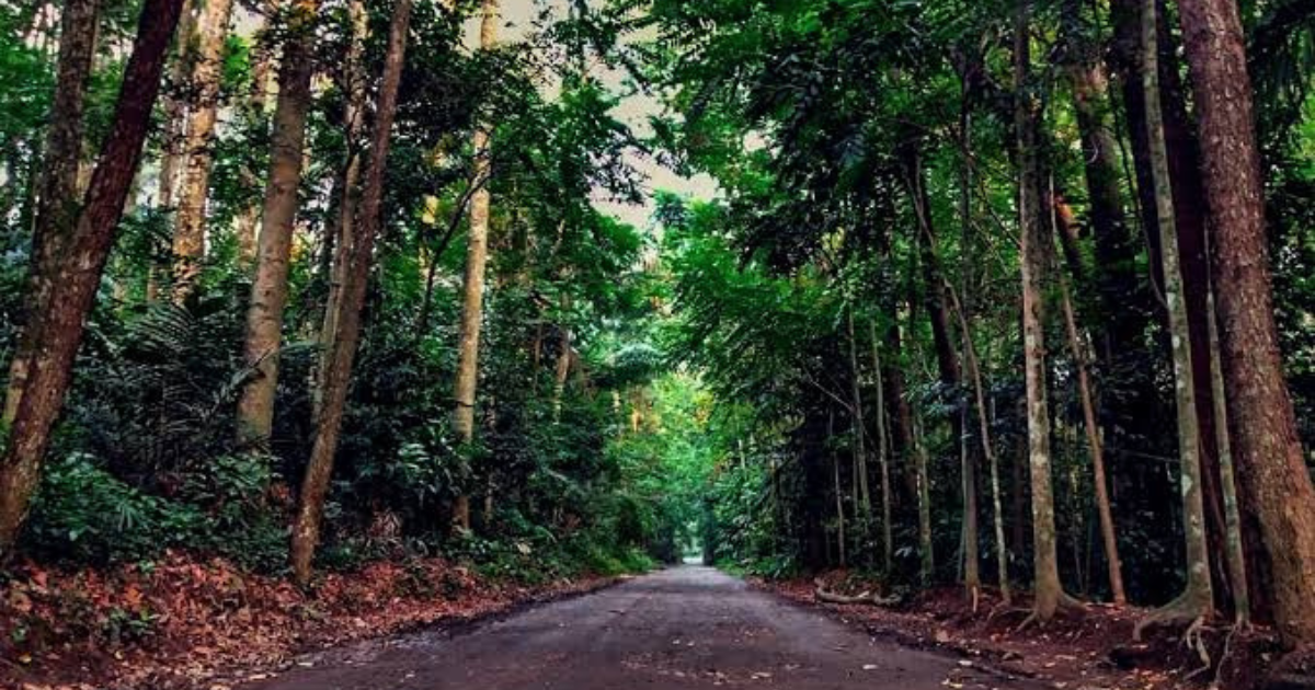 Tempat Lari di Bogor