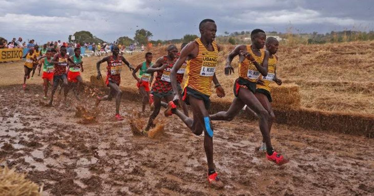 apa itu Lari Cross Country