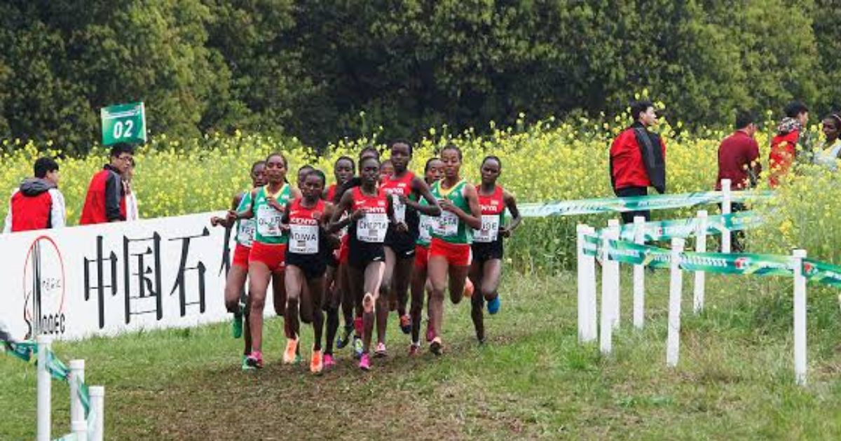 apa itu Lari Cross Country