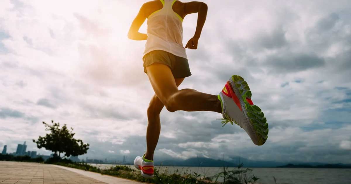 program latihan lari