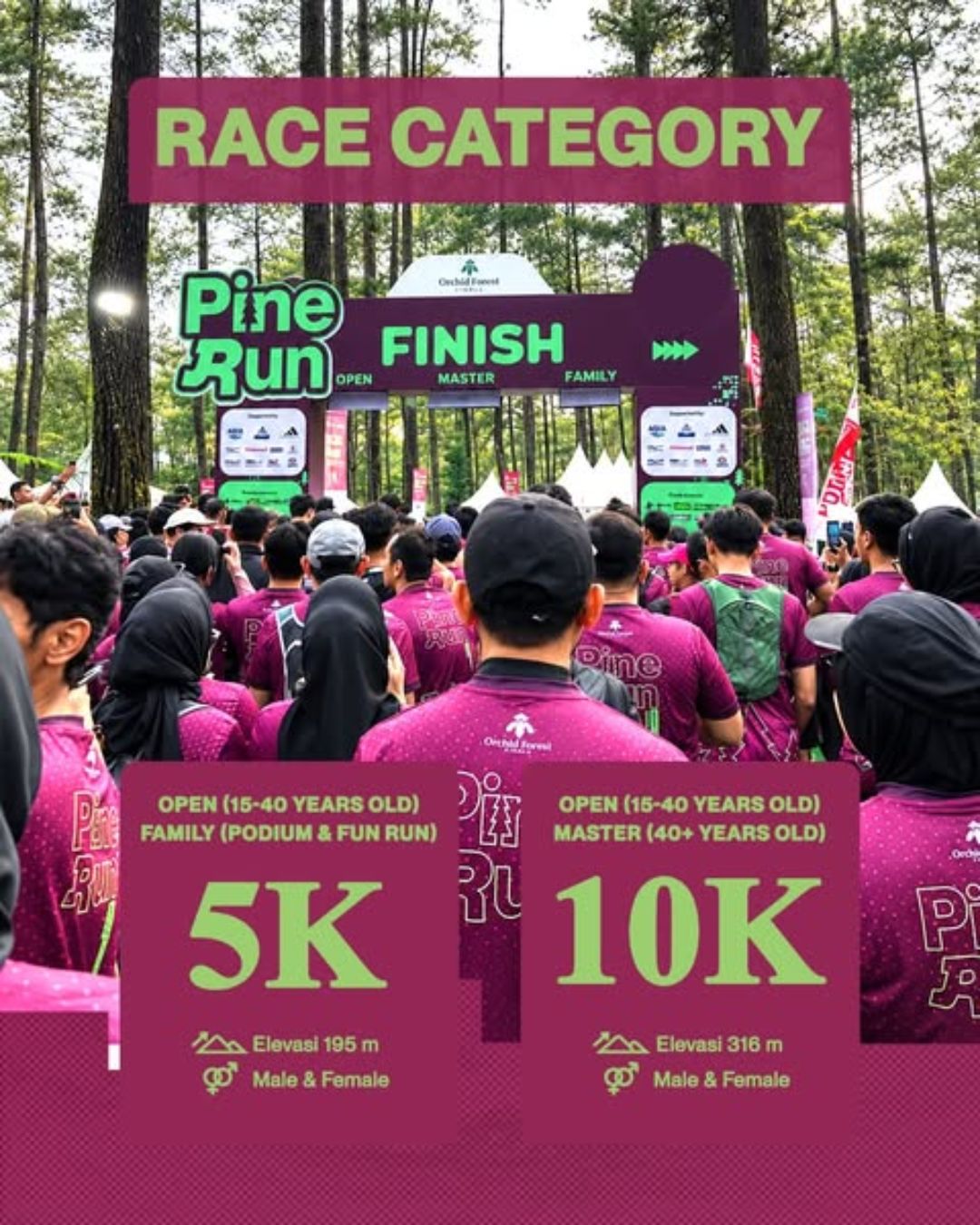 Pine Run